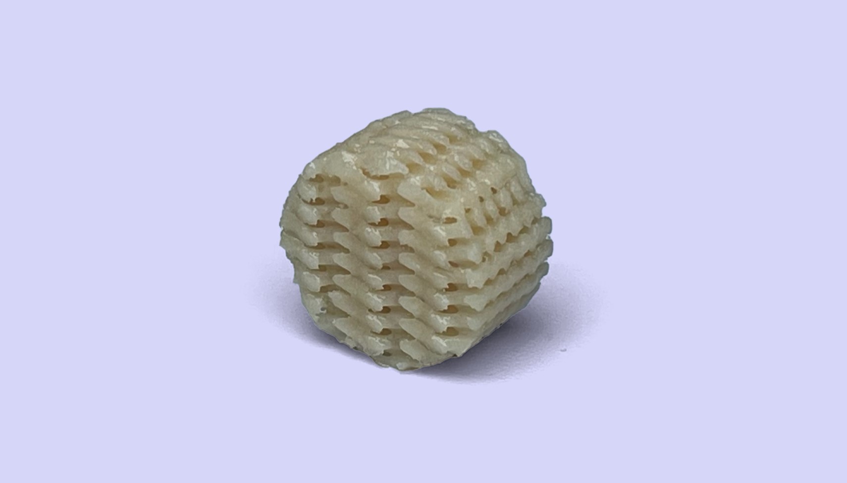 Sallea protein pure sample, size and shape used for cell tests.jpg